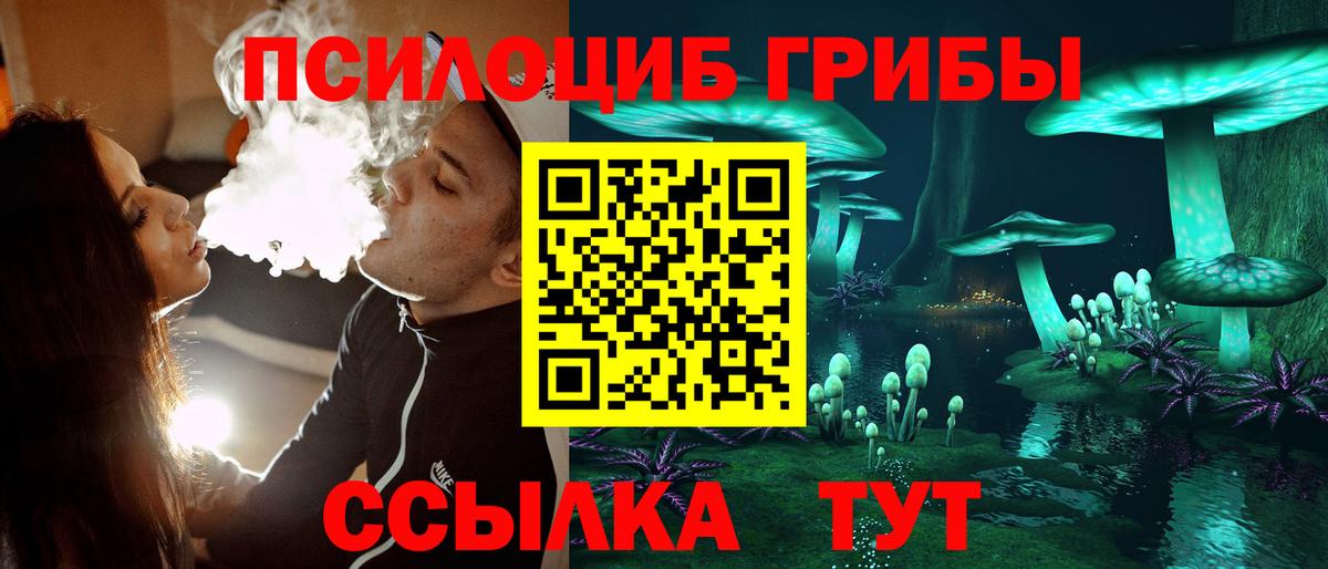 Галлюциногенные грибы Psilocybe  наркота  Электросталь  Галлюциногенные грибы прущие грибы  Вход с VPN 